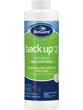 Back Up 2 Algaecide Quart