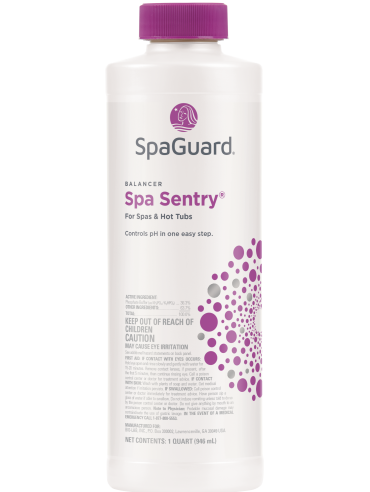 Spa Sentry QT.