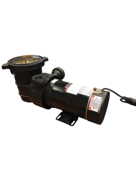 1 hp - White River Dual Port Pool Pump
